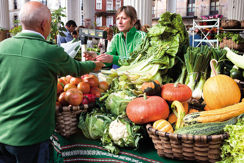 excursiones-txotx-mercado-01